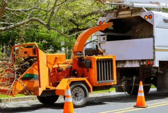 tree removal middlesex nj