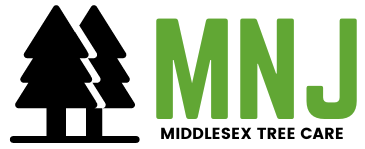 MNJ Tree Care