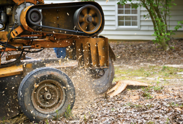 stump grinding middlesex nj